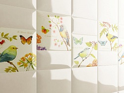 Botanic Garden Collection