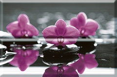 Composicion Wellness Purple 01 