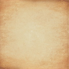 Scarlett Beige Natural